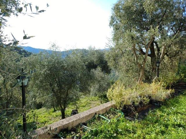 Villa - 54 m² - 3 pièces