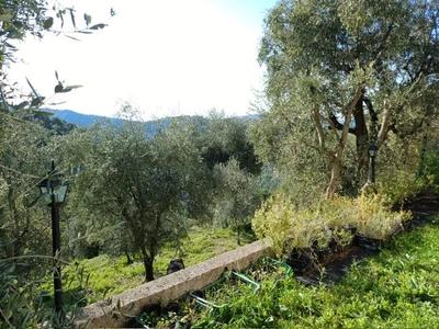 Villa - 54 m² - 3 pièces