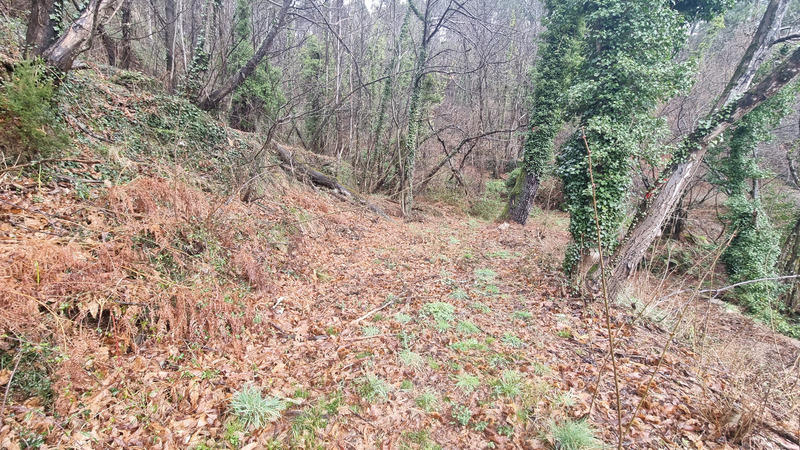 Terrain constructible - 9 403 m²