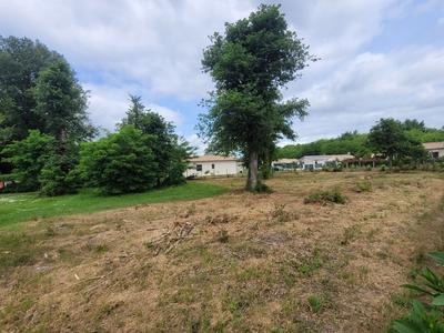 Terrain constructible - 1 244 m²