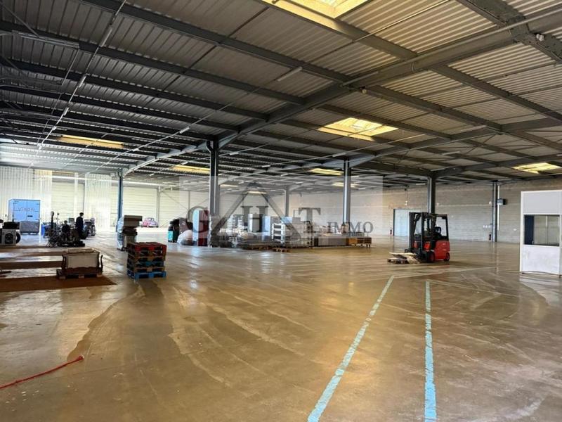 Entrepôt - 2 700 m²