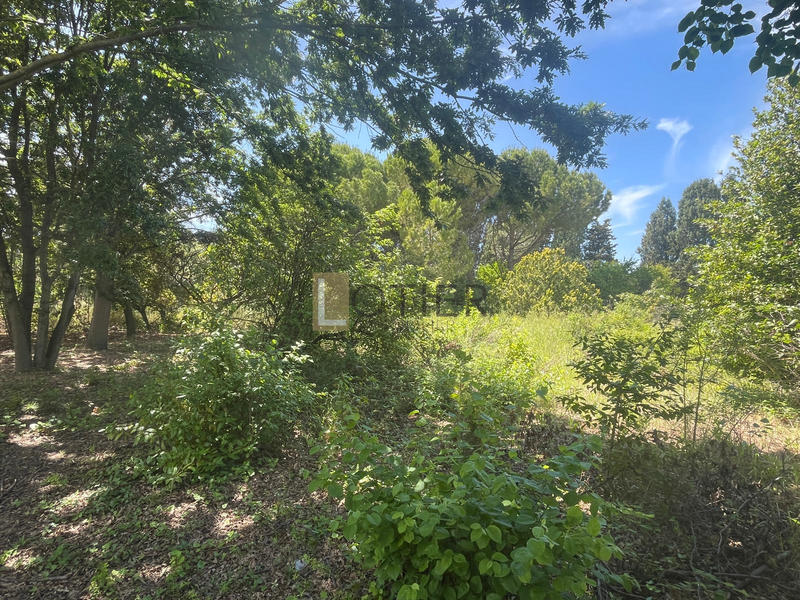 Maison - 220 m² - 7 pièces