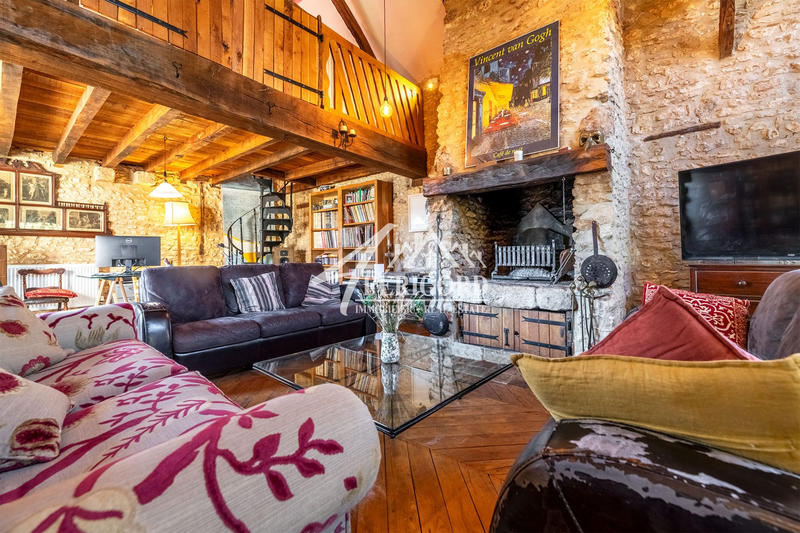 Maison ancienne - 360 m² - 8 pièces