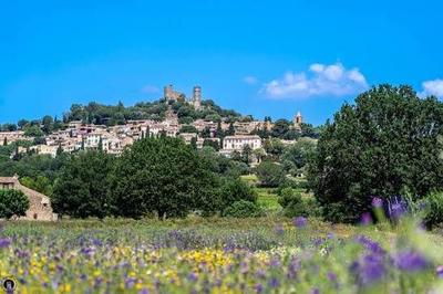 Villa - 360 m² - 7 pièces