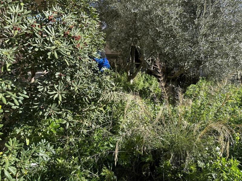 Appartement - 31 m² - 2 pièces