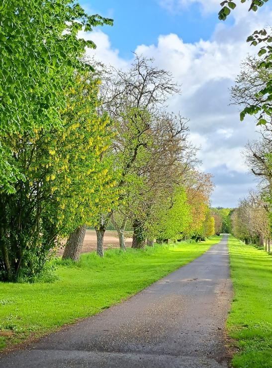 Manoir - 1 600 m² - 50 pièces