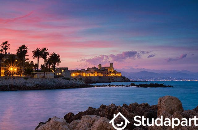 Appartement - 20 m² - 1 pièce