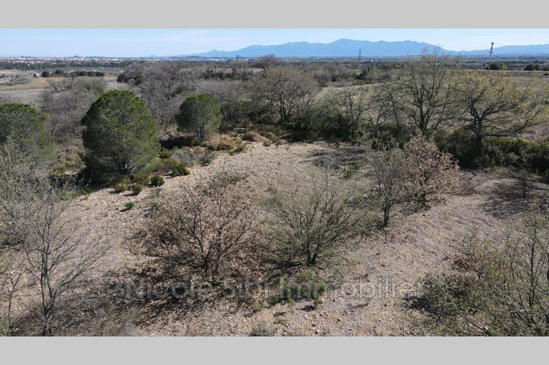 Terrain agricole - 4 920 m²