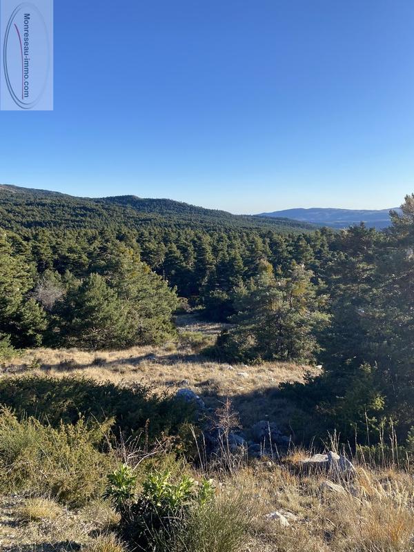 Terrain - 16 040 m²