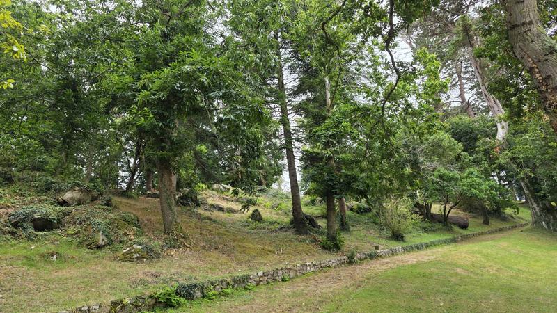 Maison - 55 m² - 3 pièces