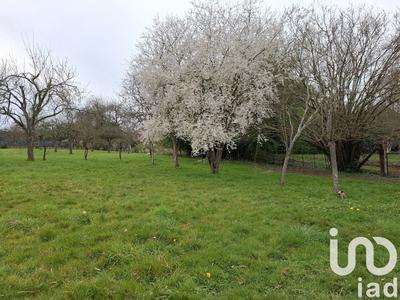 Maison - 147 m² - 5 pièces