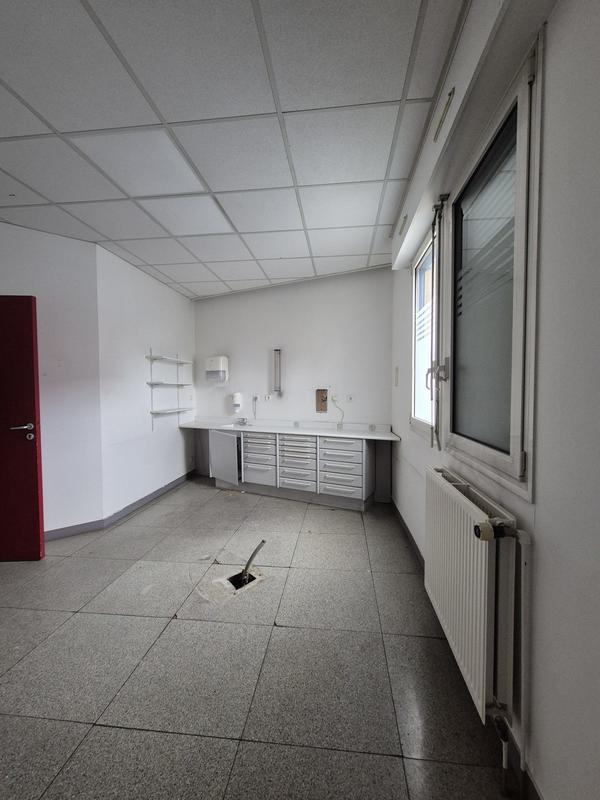 Local d'activités - 239 m²