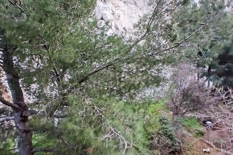 Appartement - 79 m² - 4 pièces