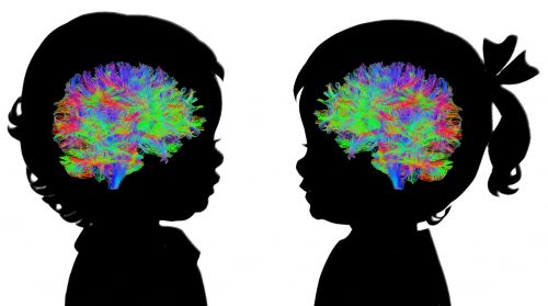 Cabinet de Neuropsychologie Pays Basque &amp; Sud des Landes