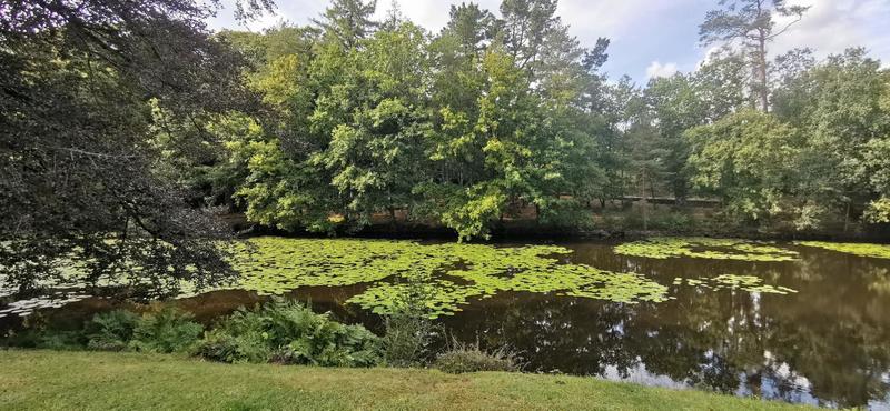 Duplex - 24 m² - 2 pièces