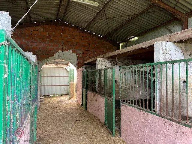 Maison de domaine équestre - 160 m² - 6 pièces