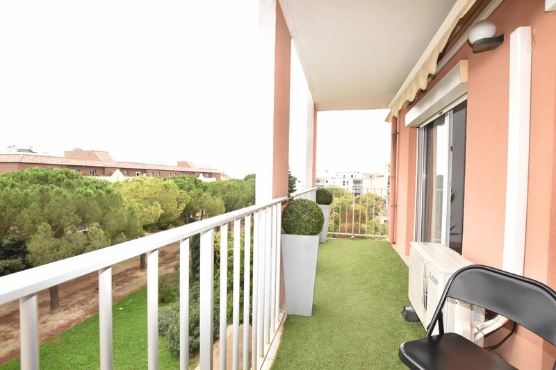 Appartement - 31 m² - 1 pièce