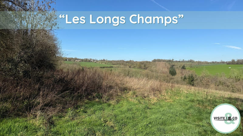 Terrain agricole - 37 768 m²