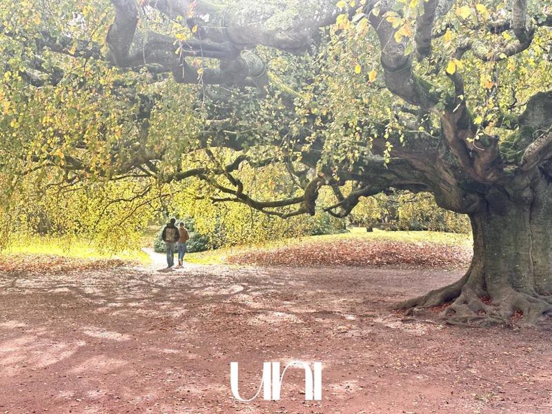 Maison - 118 m² - 6 pièces