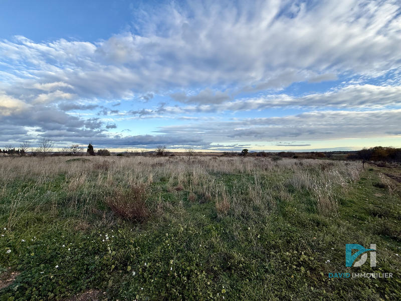 Terrain agricole - 2 895 m²