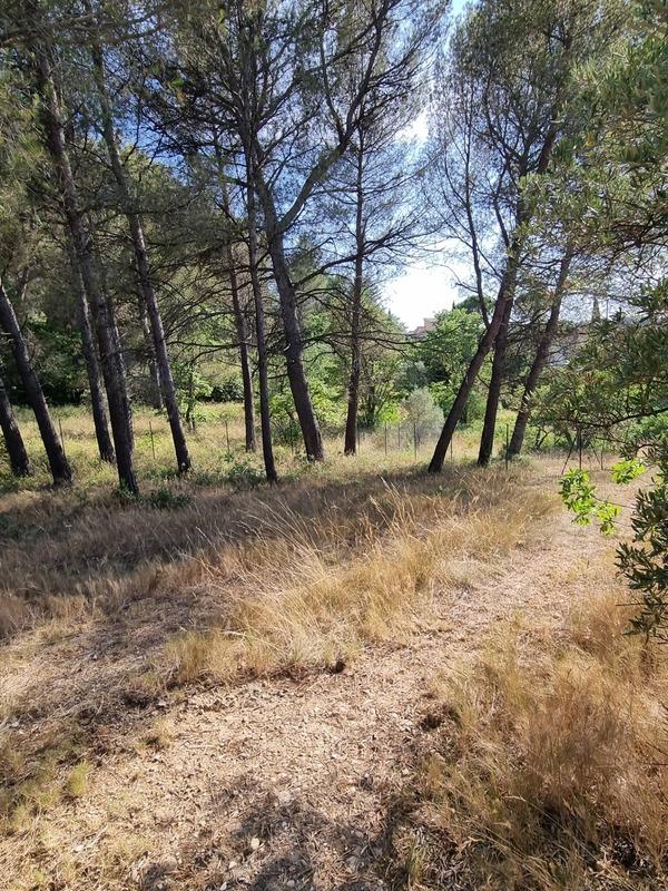 Terrain constructible - 1 060 m²