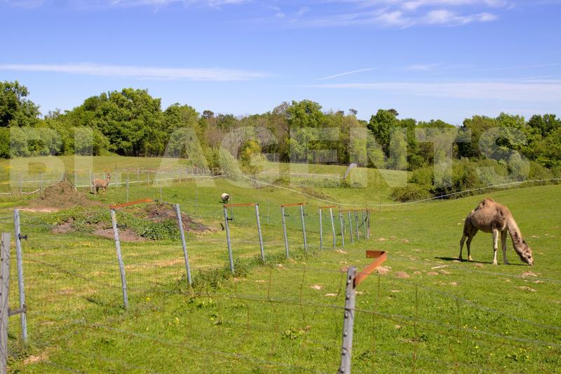 Propriété - 341 m² - 12 pièces