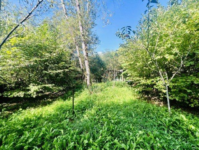 Maison en pierre - 81 m² - 4 pièces