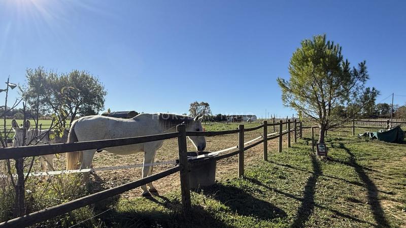 Mas - 210 m² - 6 pièces