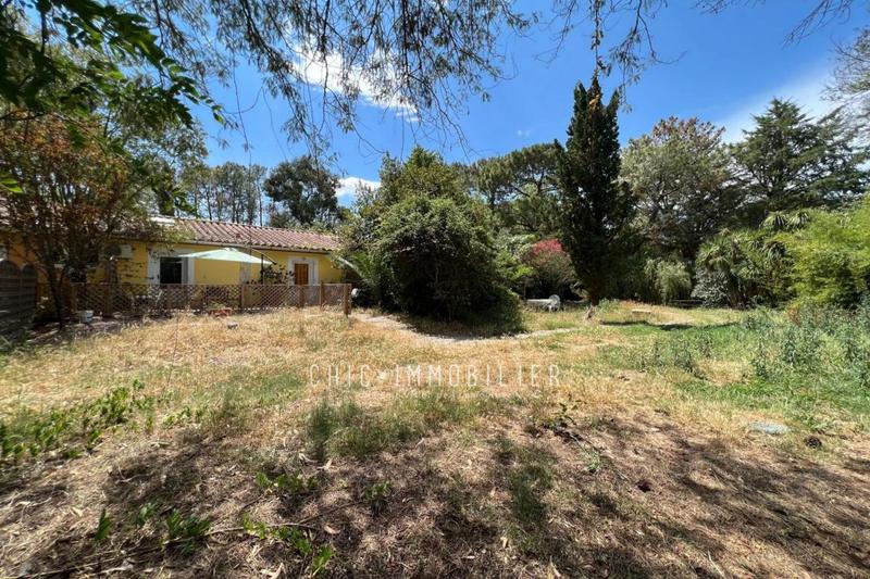 Appartement - 31 m² - 2 pièces