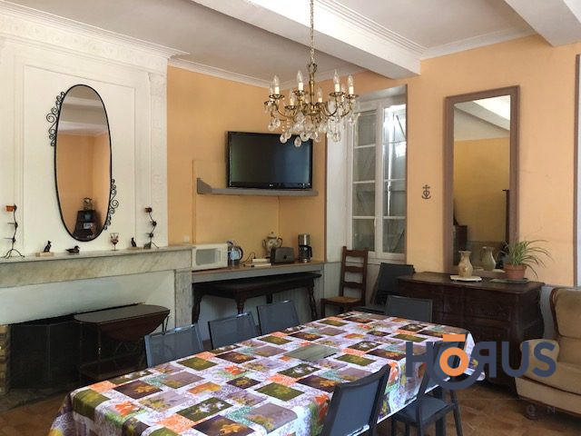 Viager - Maison - 517 m² - 16 pièces