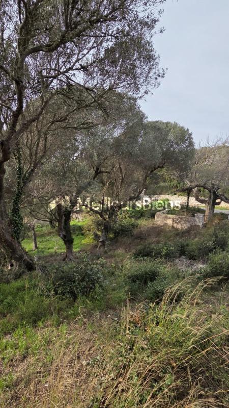 Propriété - 420 m²