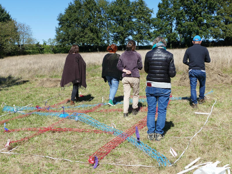 Harmonie avec la nature et l'habitat : découverte de la géobiologie