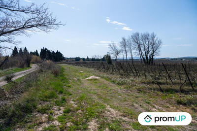 Terrain agricole - 41 115 m²