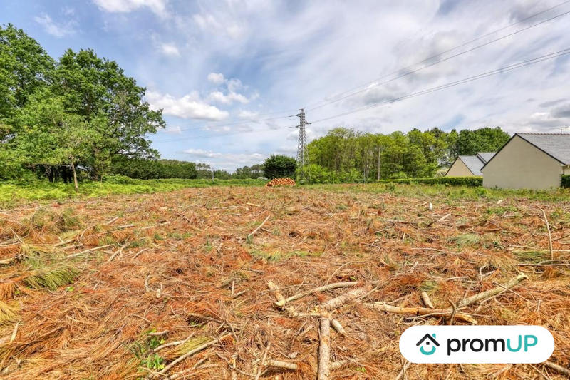 Terrain de loisirs - 4 000 m²