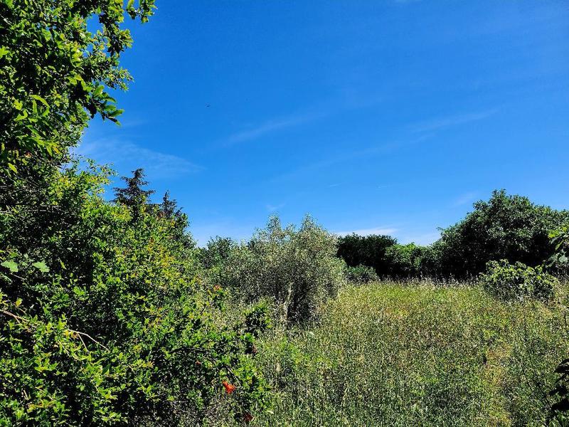 Terrain constructible - 1 490 m²