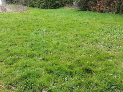 Terrain constructible - 685 m²