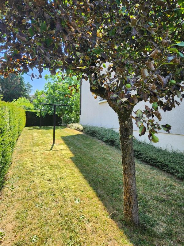 Maison - 261 m² - 11 pièces