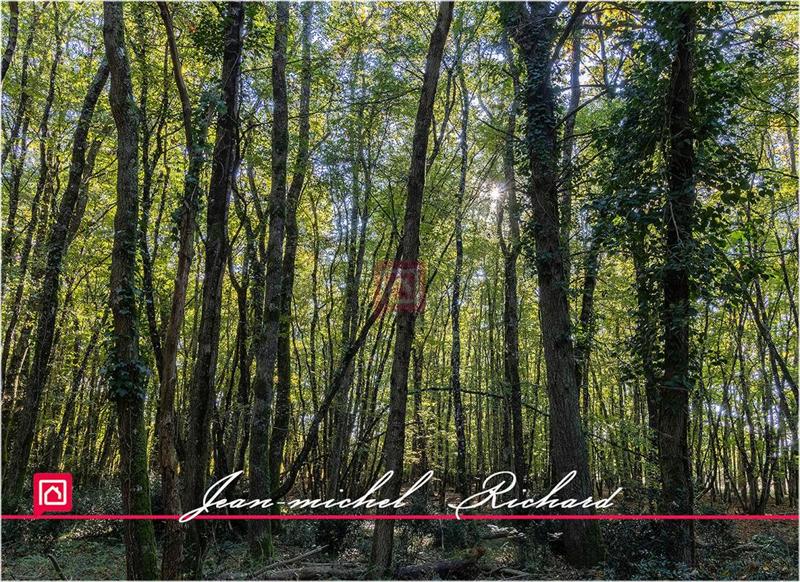 Propriété - 400 m² - 8 pièces