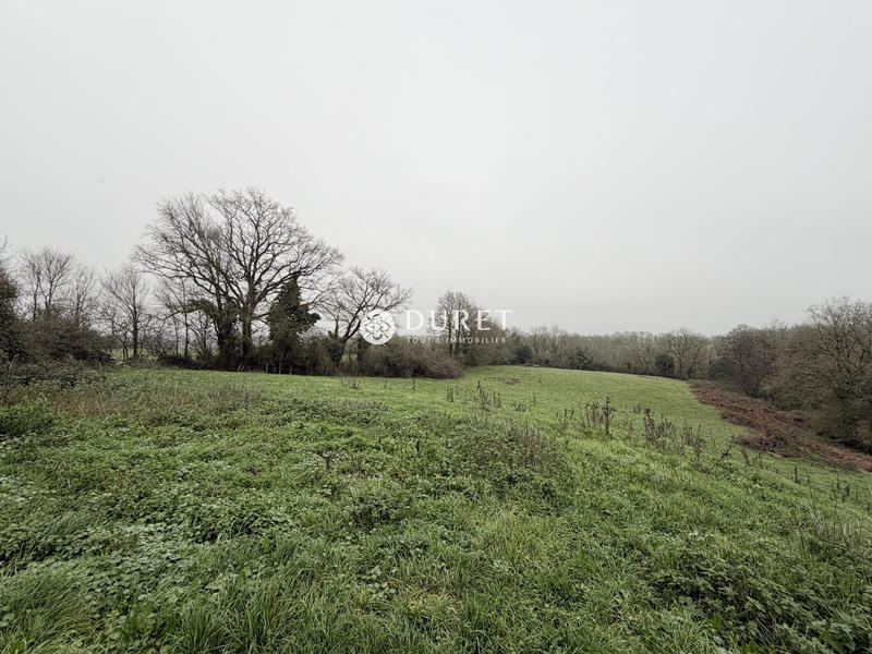 Maison - 129 m² - 7 pièces