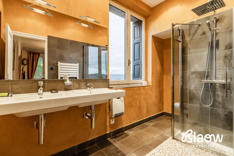 Viager - Maison - 306 m² - 9 pièces