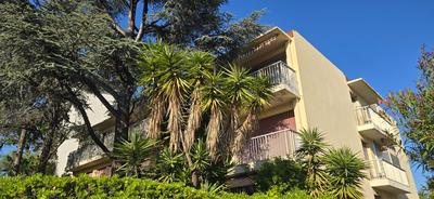 Studio - 20 m² - 2 pièces