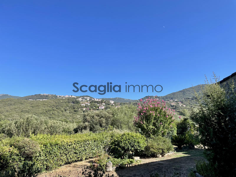 Maison - 246 m² - 9 pièces