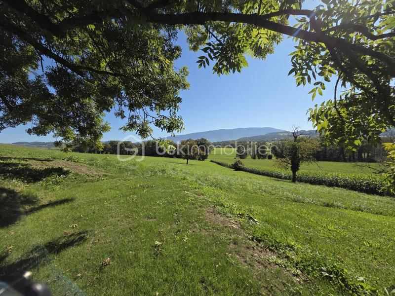 Maison ancienne - 366 m² - 10 pièces