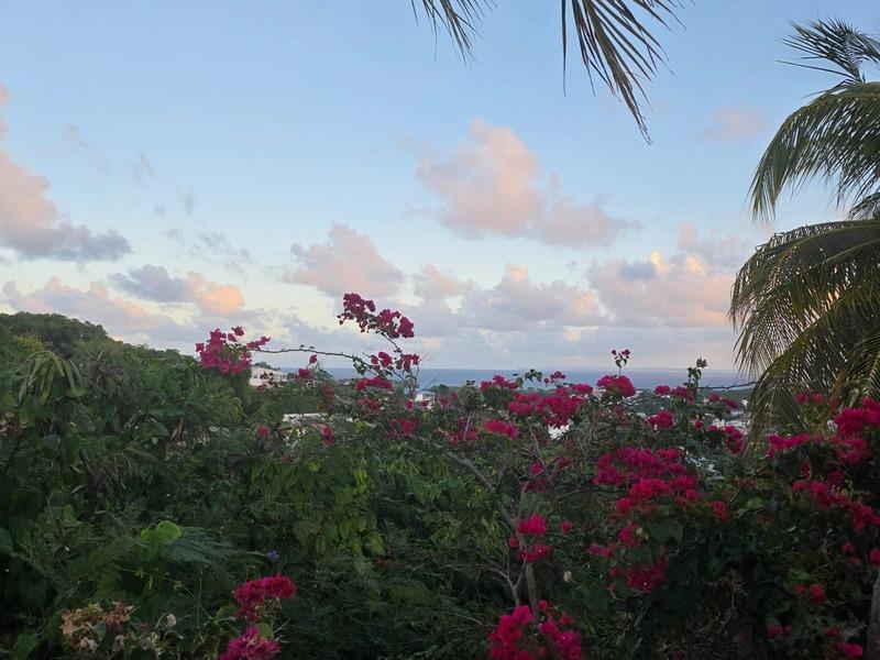 Villa - 368 m² - 7 pièces