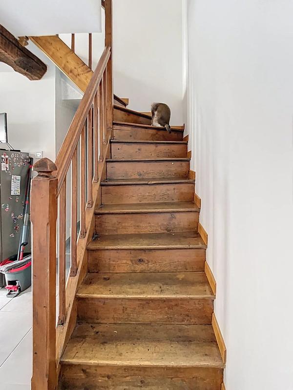 Appartement - 49 m² - 3 pièces