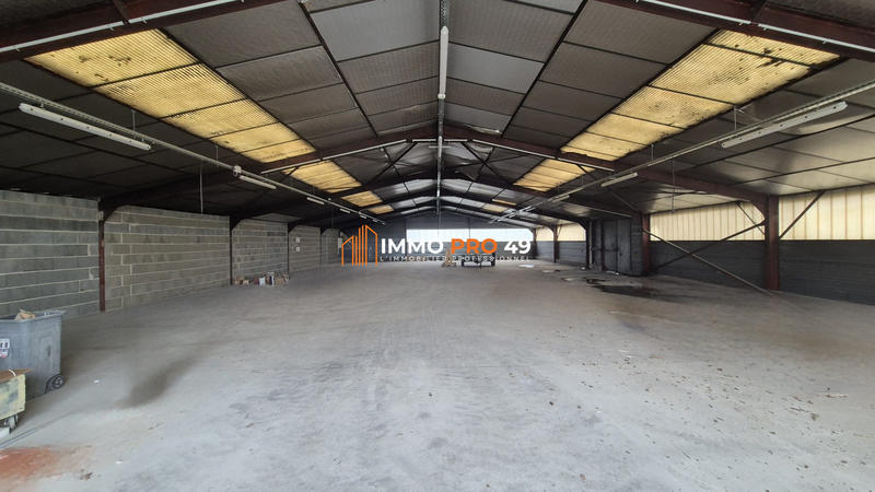 Local d'activités - 1 248 m²