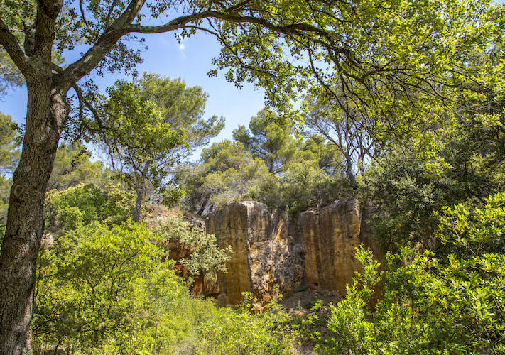 Les Carrières de Bibémus et Cezanne