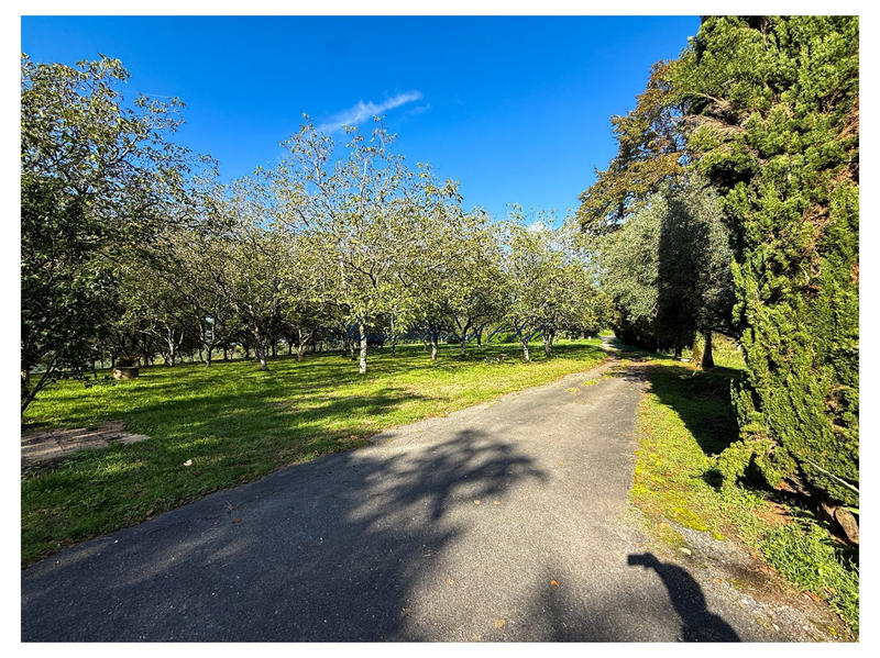 Maison - 236 m² - 9 pièces