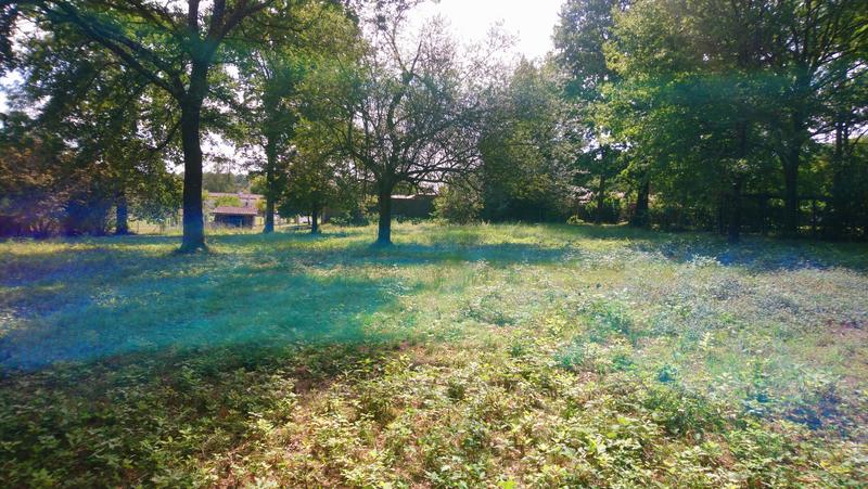 Terrain constructible - 1 954 m²