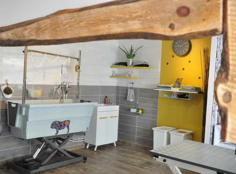 Dog SigNature, Artisan Toiletteur et Bien-être Canin